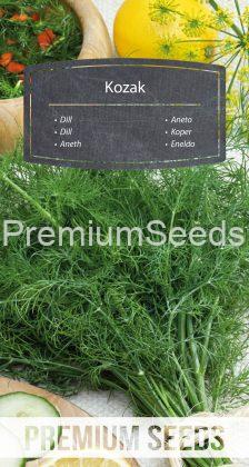 Dill Kozak - seeds