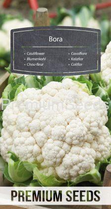 Cauliflower Bora - seeds