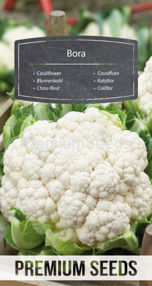 Cauliflower Bora - seeds