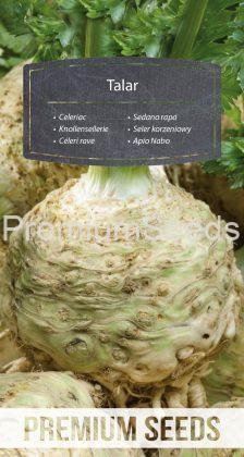Celeriac Talar - seeds