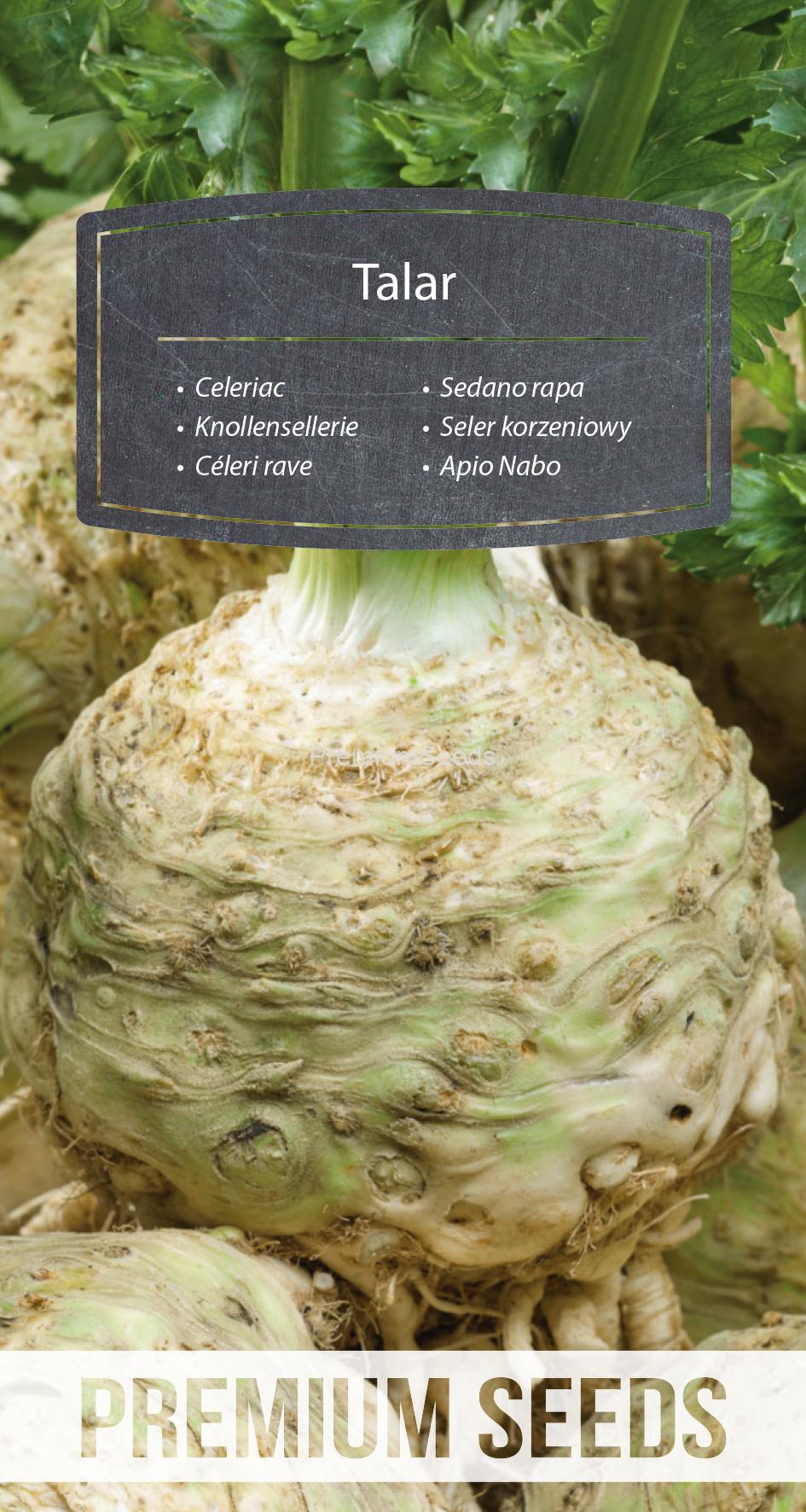 WORLD N 171 0078.indd Celeriac Talar - seeds
