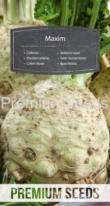 Celeriac Maxim - seeds