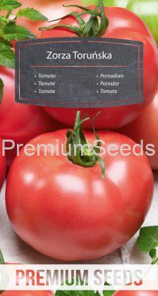 Tomato Zorza Torunska - seeds