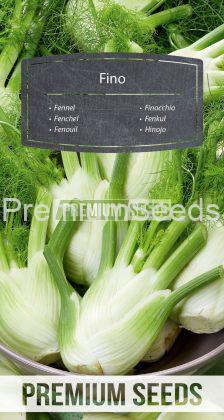 Fennel Fino - seeds