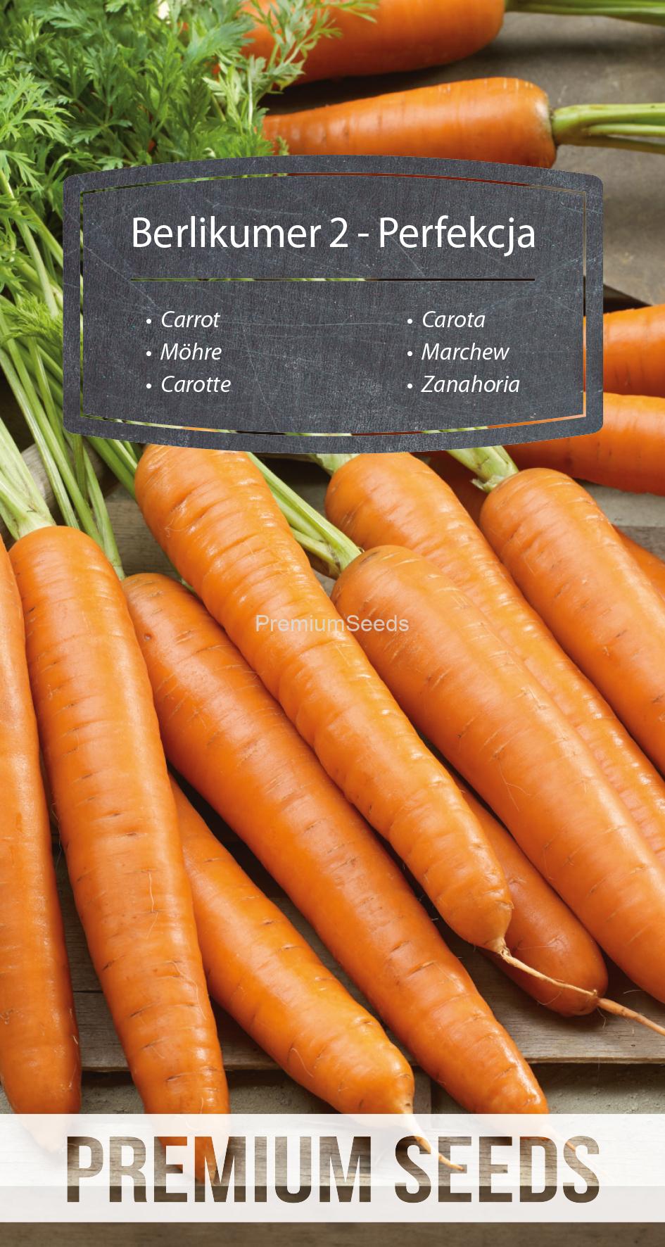 WORLD N 171 0995.indd Carrot BERLIKUMER 2 - PERFECTION ("Berlikumer 2 - Perfekcja")