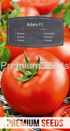 nasiona Pomidora Adam F1