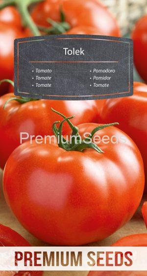 Tomato Tolek - seeds