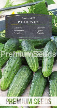 Cucumber Sremski F1 - PELLETED SEEDS