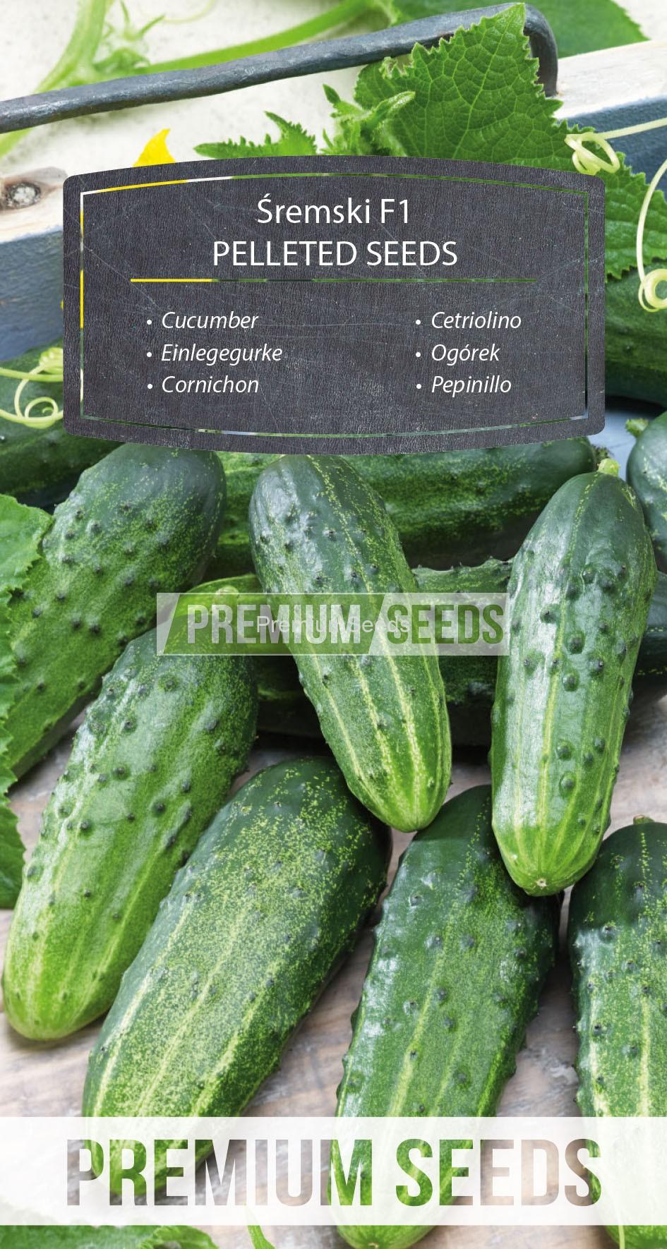 WORLD N 171 3618_PELLETED_RGB_VS Cucumber Sremski F1 - PELLETED SEEDS