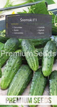 Cucumber Śremski F1 - seeds
