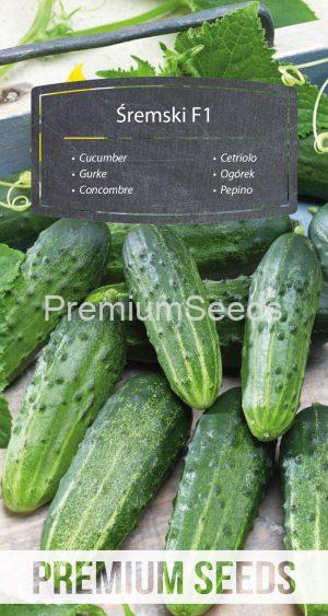 Cucumber Śremski F1 - seeds