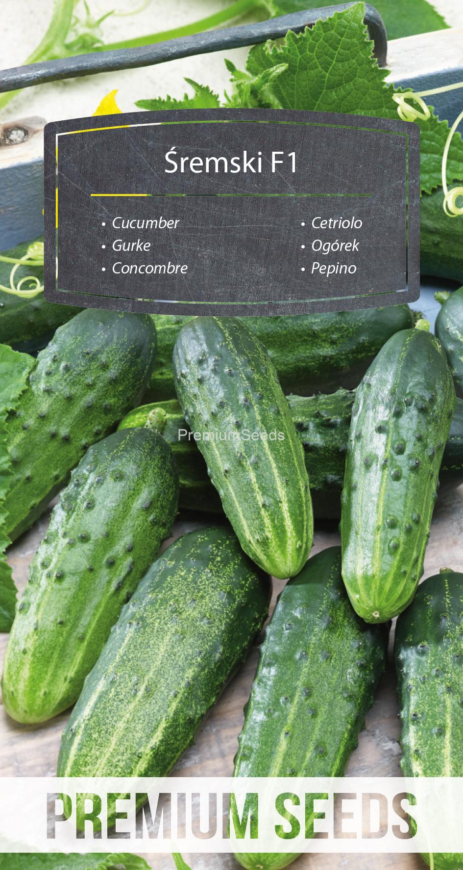 WORLD N 171 3618.indd Cucumber Śremski F1 - seeds