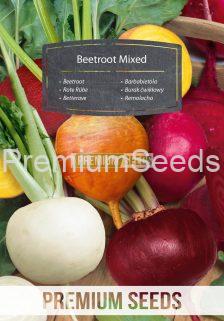 Beetroot - mix of colorful varieties - seeds