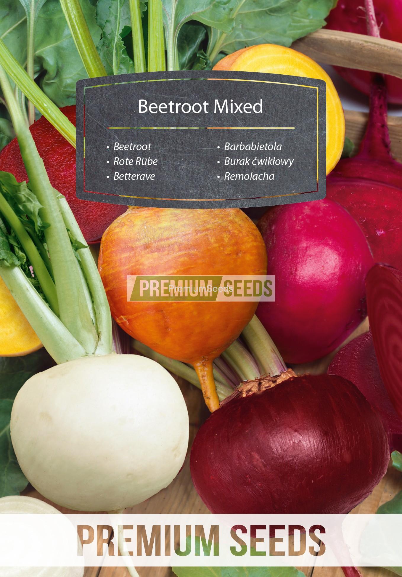WORLD N 171 3630.indd Beetroot - mix of colorful varieties - seeds
