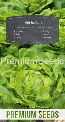 Lettuce Michalina - seeds