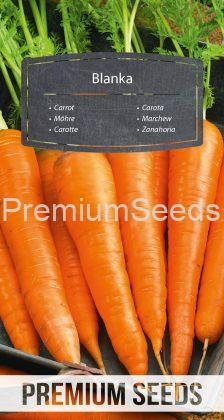 Carrot Blanka - seeds