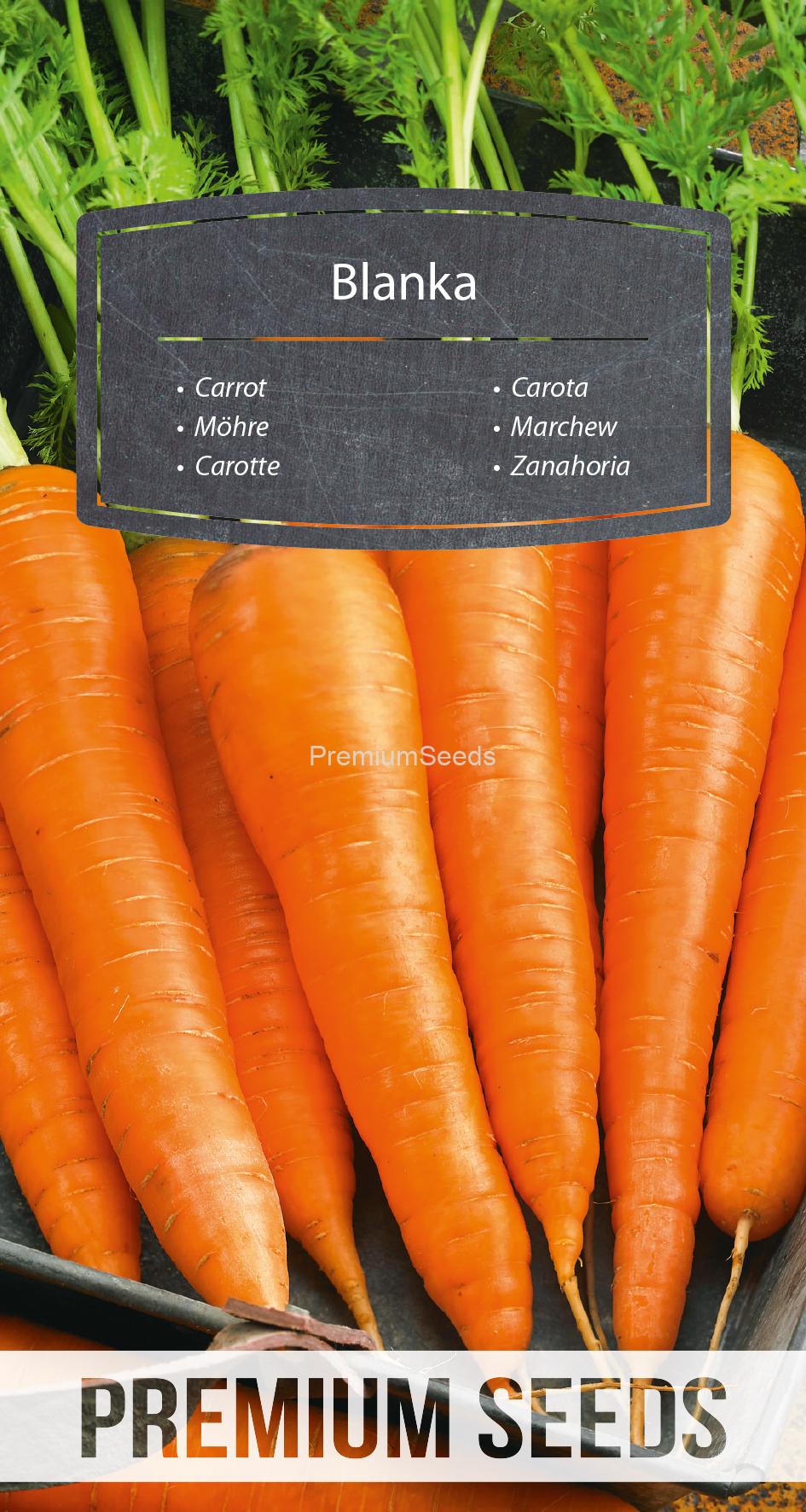 WORLD N 171 4955.indd Carrot Blanka - seeds