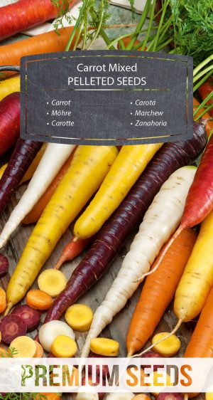 Carrot - mix of colorful varieties - PELLETED SEEDS