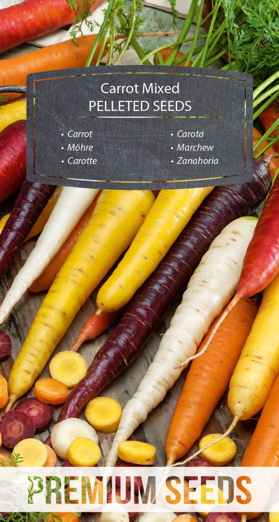 Carrot - mix of colorful varieties - PELLETED SEEDS - PremiumSeeds ...