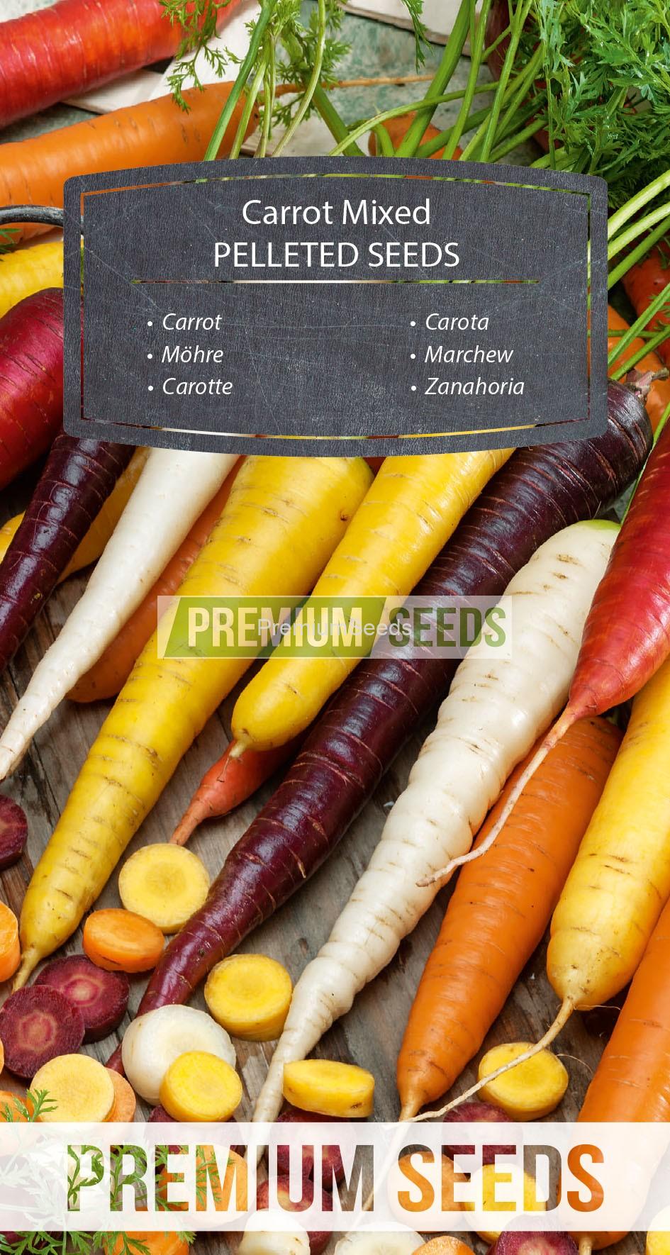 WORLD N 171 5008_PELLETED_RGB_VS Carrot - mix of colorful varieties - PELLETED SEEDS