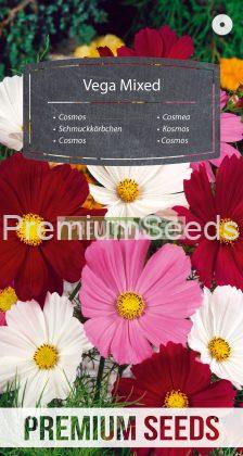 Cosmos Vega Mixed - seeds