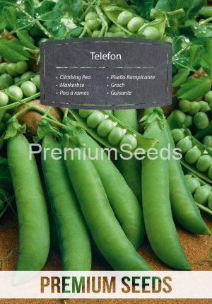 Climbing Pea Telephone ("Telefon") - seeds