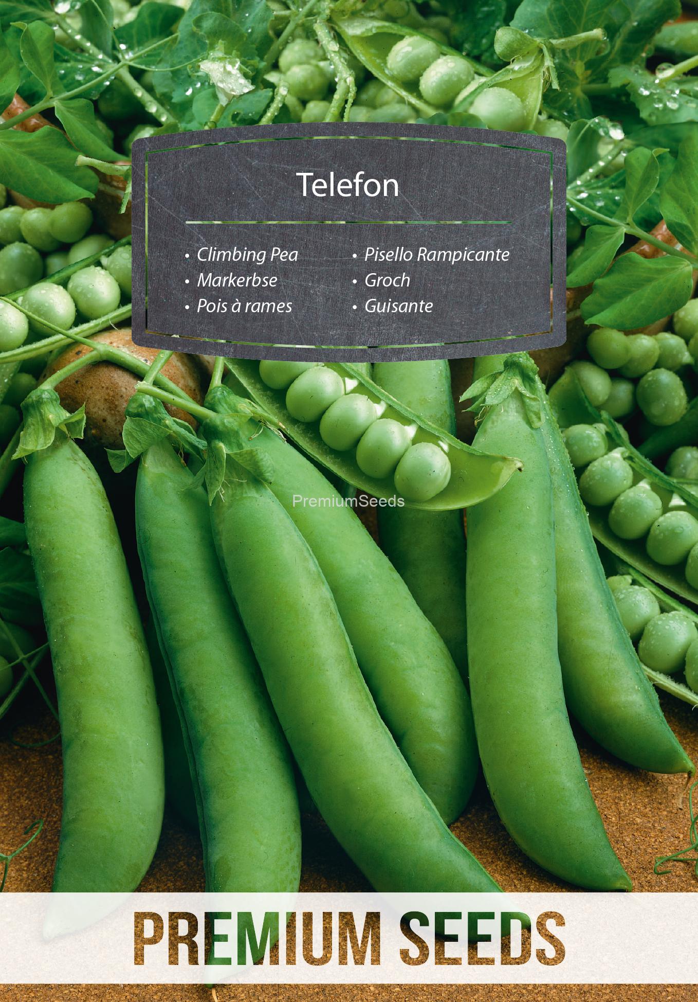 WORLD N 70 17 62.indd Climbing Pea Telephone ("Telefon") - seeds