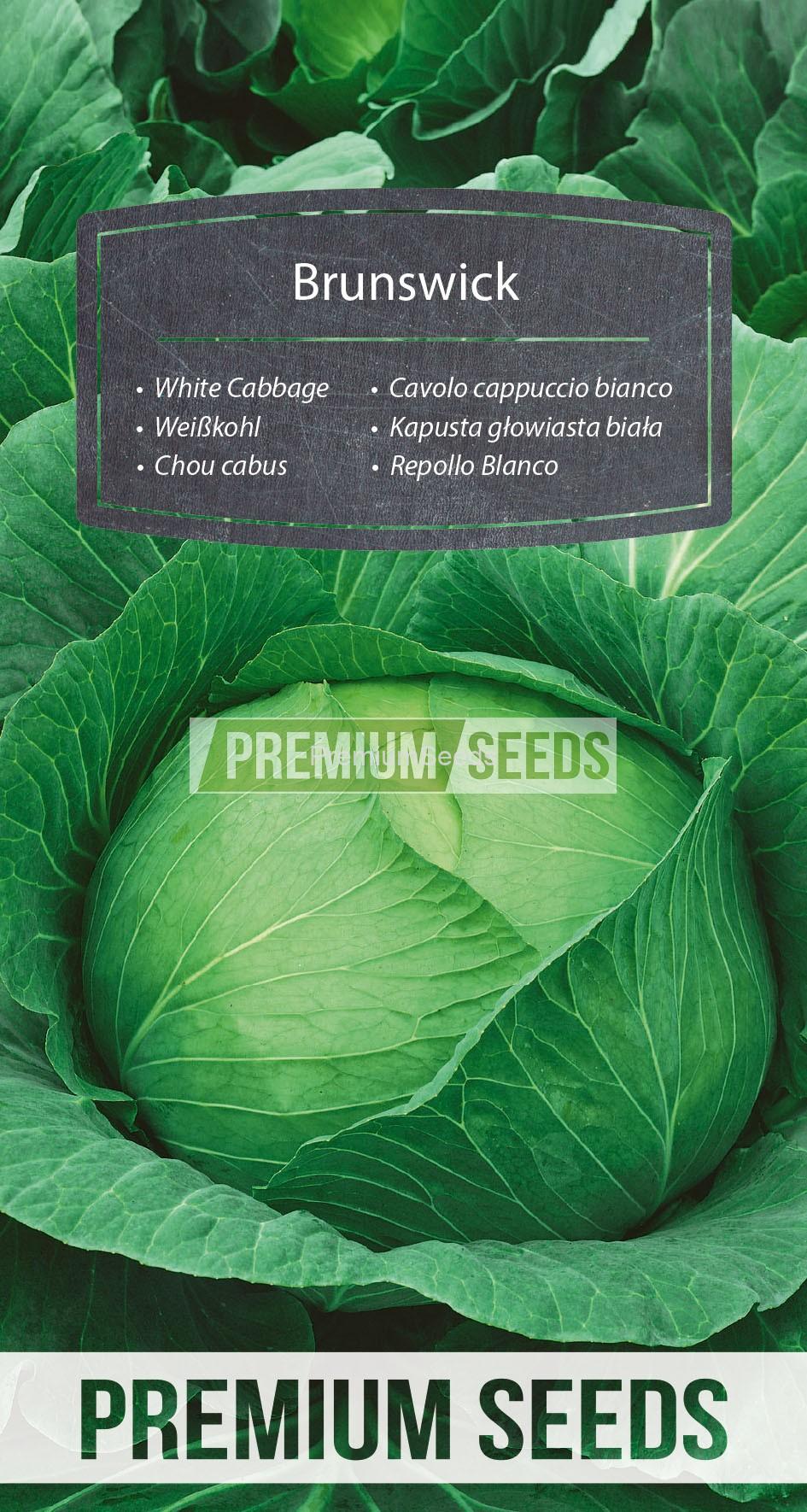 WORLD N 70 52 52_RGB_VS White Cabbage Brunswick - seeds