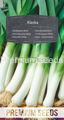 Leek Bluegreen Winter - Alaska - seeds
