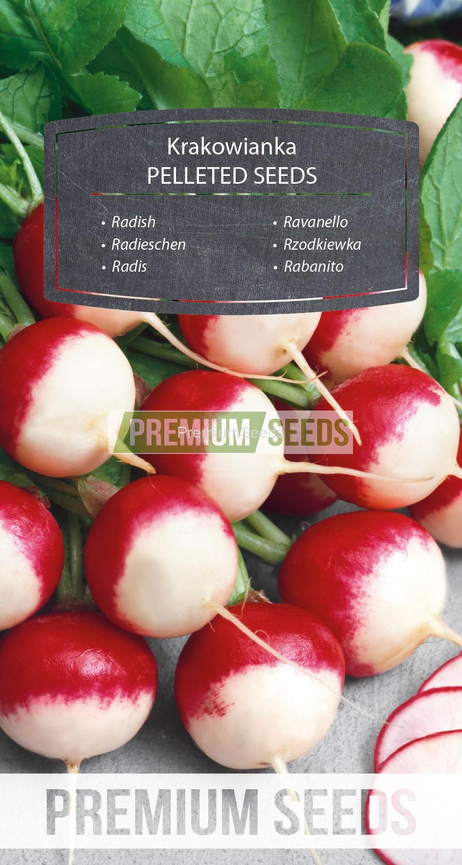 WORLD N 70 85 14_PELLETED_RGB_VS Radish Krakowianka - PELLETED SEEDS