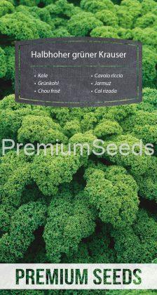 Kale Halbhoher grüner Krauser – seeds