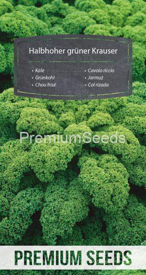 Kale Halbhoher grüner Krauser – seeds