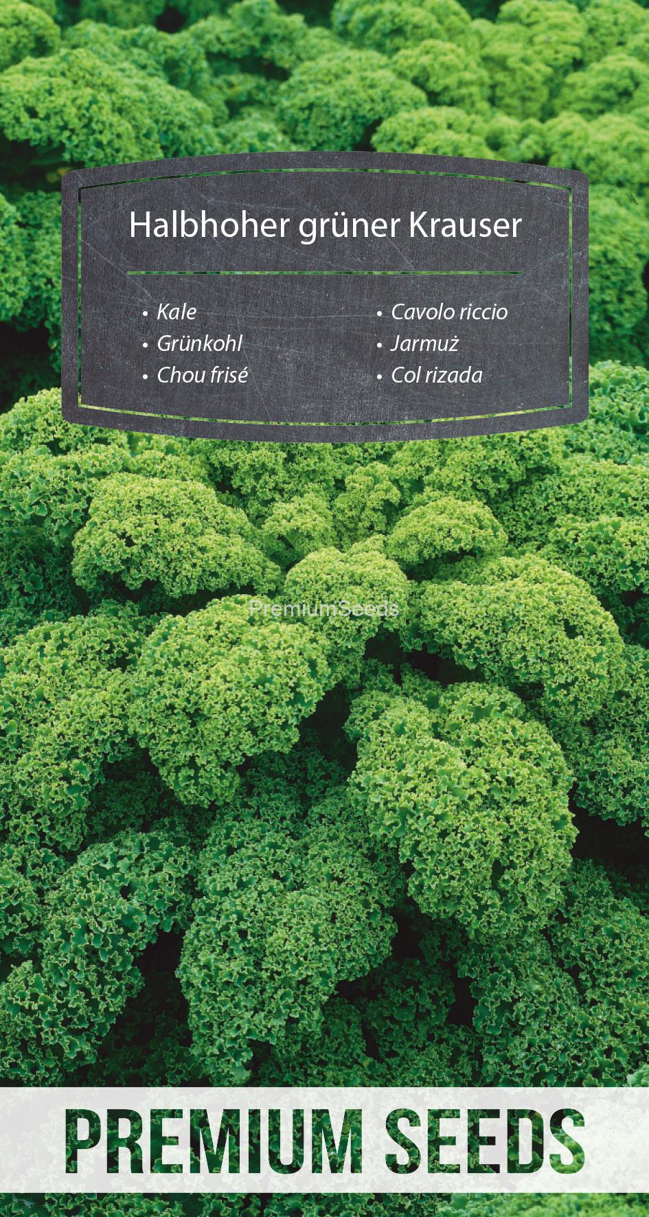 WORLD N 94 38 50.indd Kale Halbhoher grüner Krauser – seeds