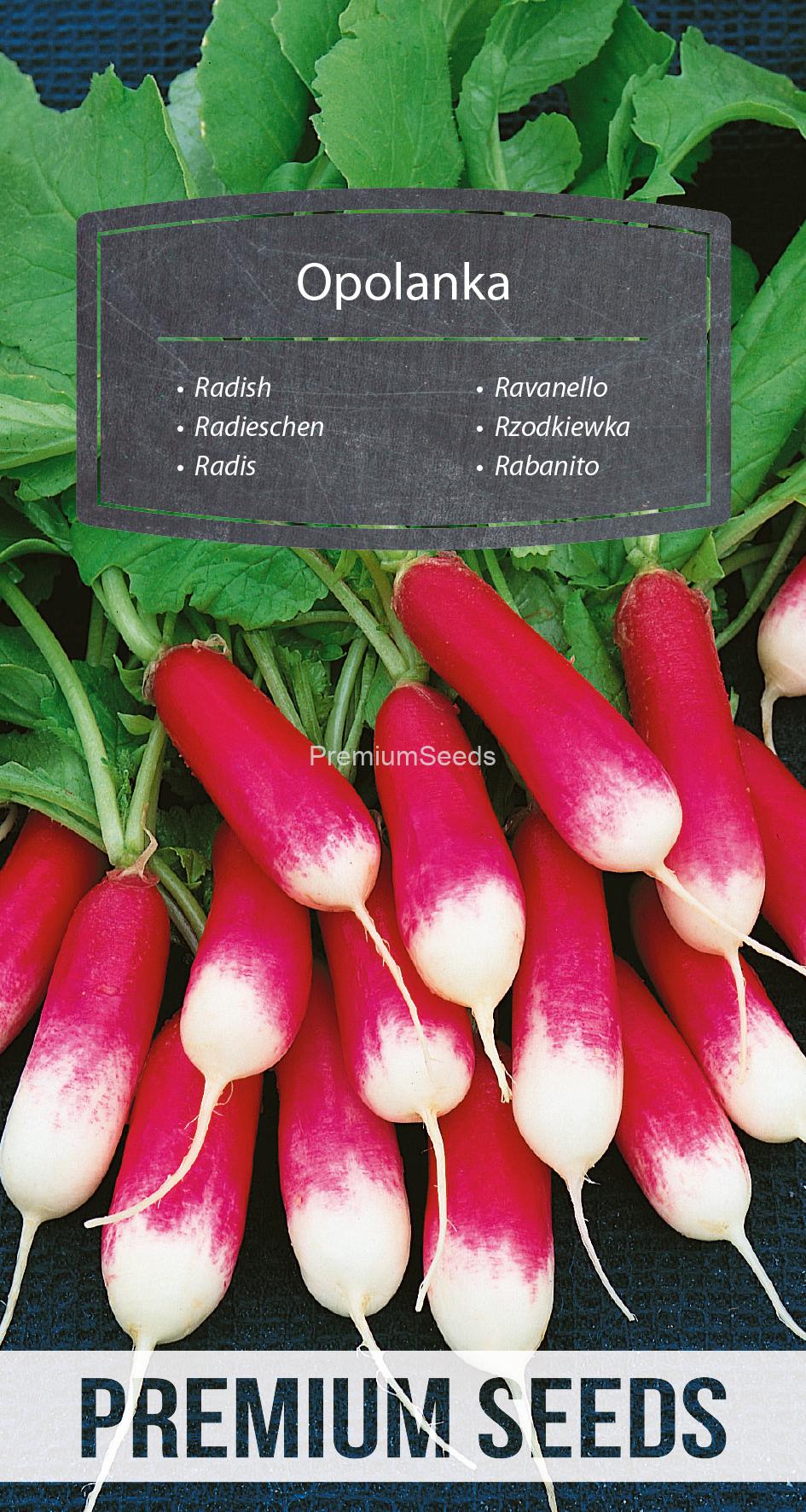 WORLD N 94 63 32.indd Radish Opolanka - seeds