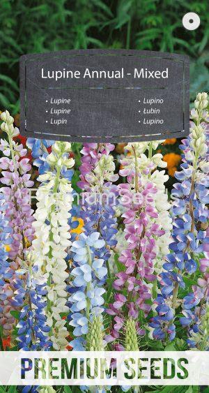 Lupine annual - Mixed - seeds