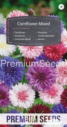 Cornflower - a selection of varieties - seeds