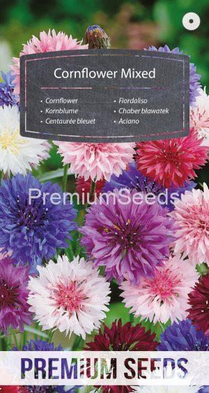 Cornflower - a selection of varieties - seeds