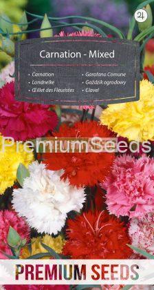 Carnation - Mixed - seeds