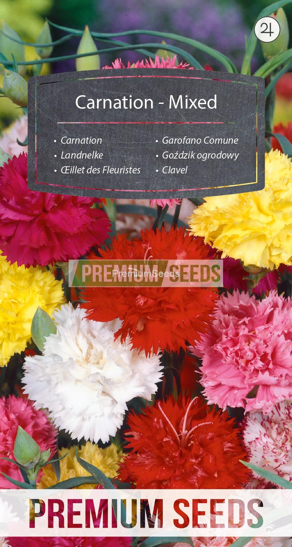 WORLD N G 450 0906_RGB_VS Carnation - Mixed - seeds