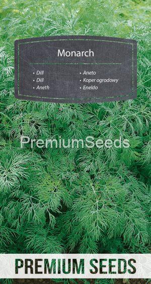 Dill Monarch - seeds