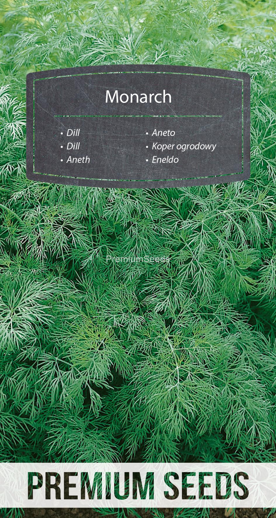 WORLD N G 470 1380.indd Dill Monarch - seeds