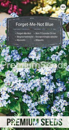 Myosotis des Alpes bleu - semences