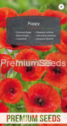 Coquelicot - semences