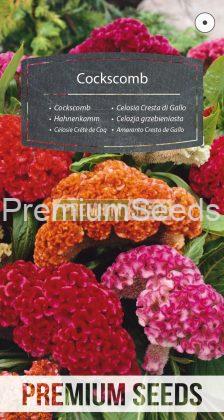 Celosia Cresta di Gallo - semi