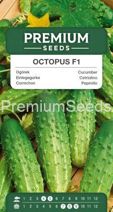 Cucumber Octopus F1 – seeds