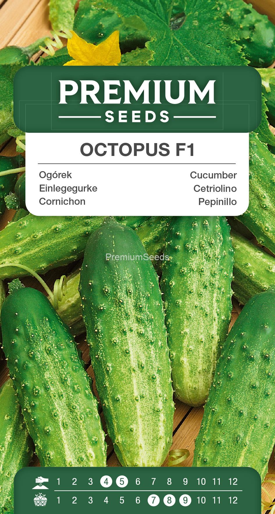 SWIA-WO-GE-11160.indd Cucumber Octopus F1 – seeds