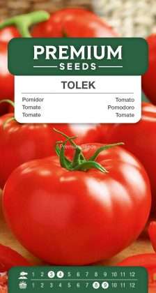 Tomato Tolek – seeds