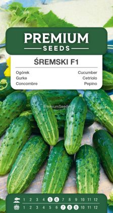 Cornichon Śremski F1 – semences