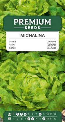 Laitue Michalina – semences