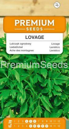 Lovage – seeds